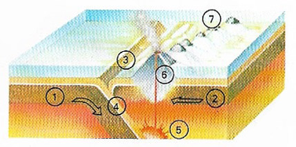 Destruction of oceanic crust