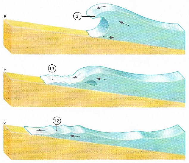 Development of plunging wave