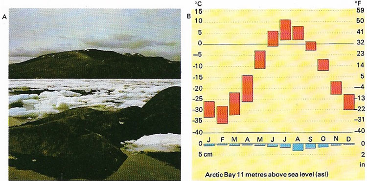 Polar climate
