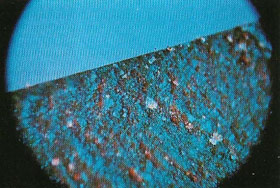 Microscopic section of a piece of pottery