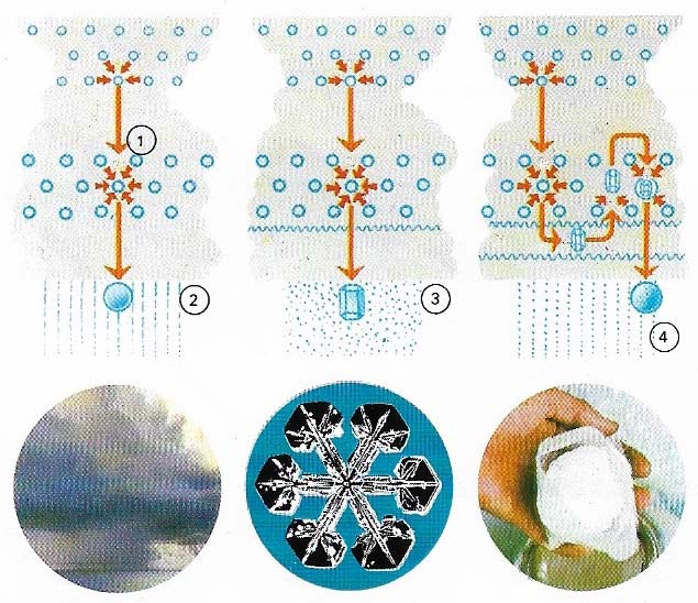 Different forms of precipitation