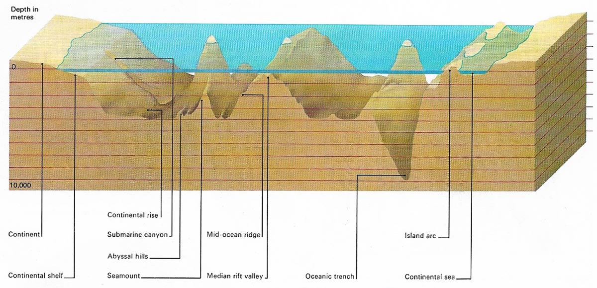 Zones of the seafloor