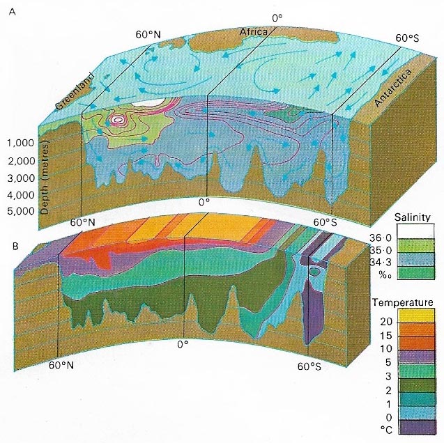 Physical properties of seawater