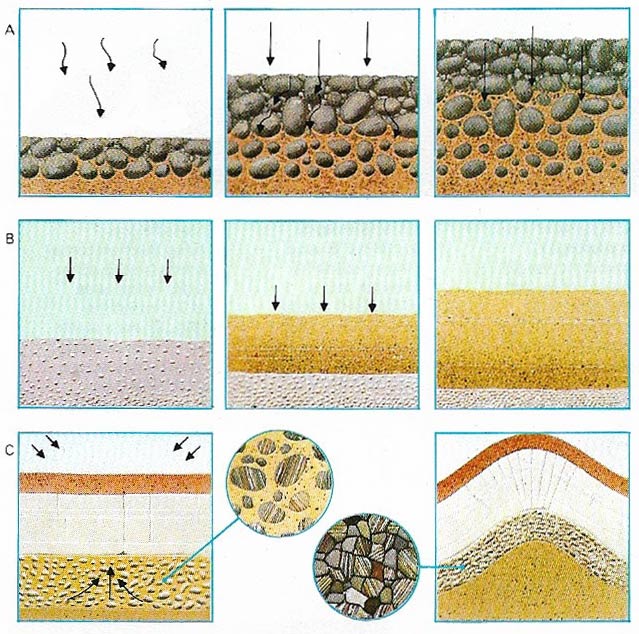 Sedimentary rock formation processes