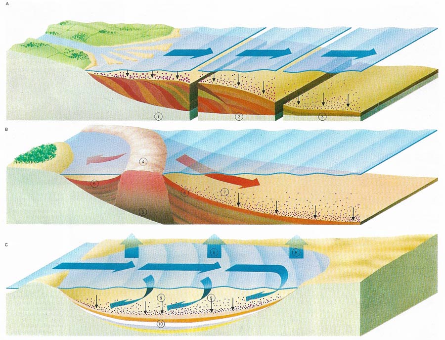 Three main types of sedimentary rock