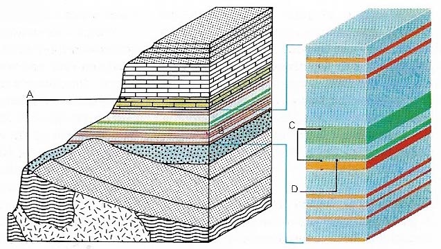 Stratigraphic groups