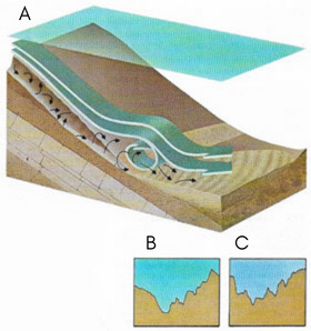 Submarine canyon