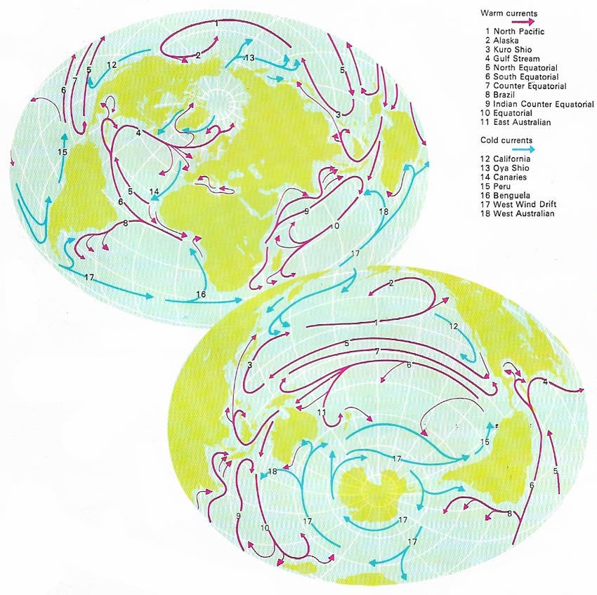 Surface ocean currents of the world