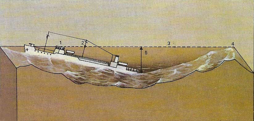 Tallest recorded wave