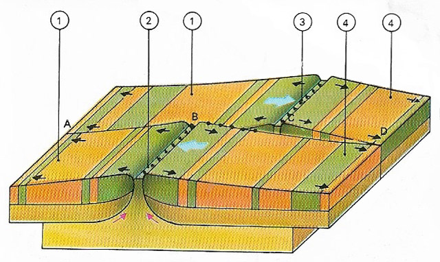 Transform fault