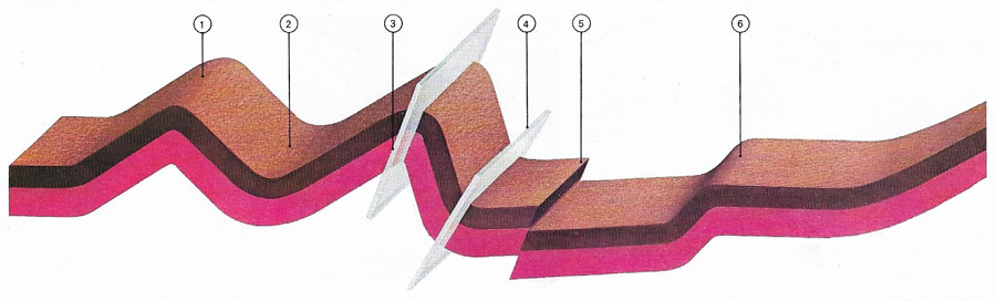 Types of folds