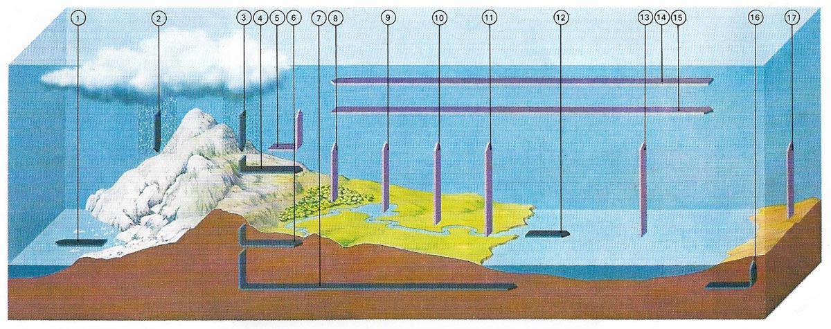 Water cycle