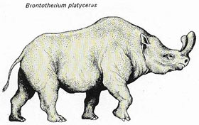 Brontotherium