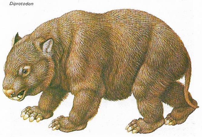 Diprotodon