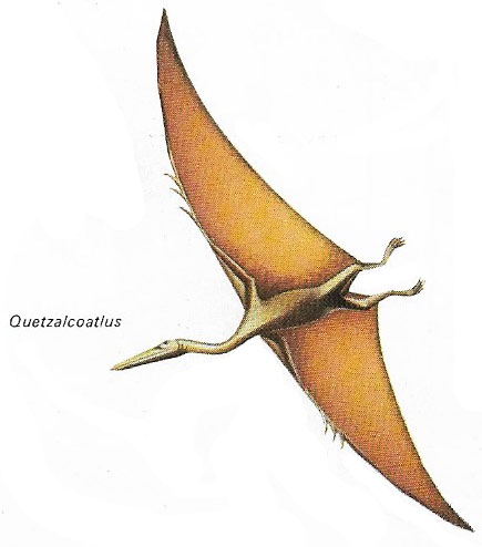 Quetzalcoatlus