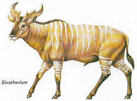 Sivatherium