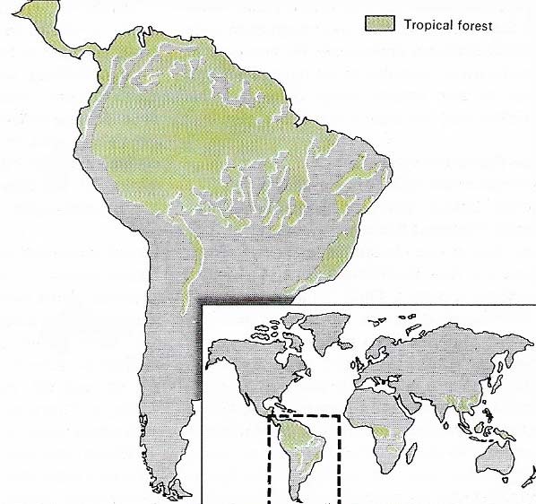South American rainforest map