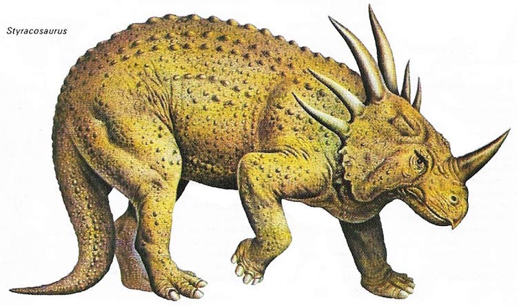 Styracosaurus.