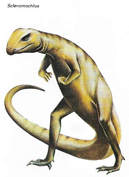 The thecodonts were fairly small lizard-like animals that gave rise to some of the strangest beasts that ever lived.