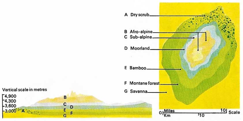 Vegetation zones in mountainous regions may not always be uniform because the high land forces winds laden with moisture to rise.