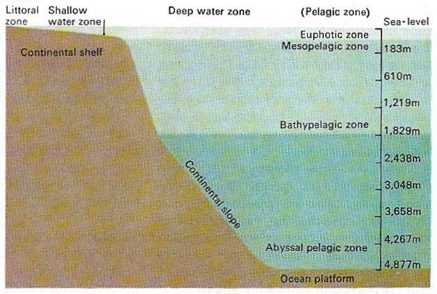 Ocean layers
