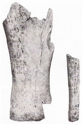 Oracle bones