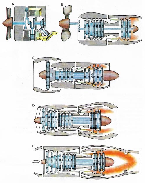 Wing shapes vary depending on their purpose.