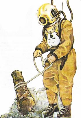 Standard diving suit