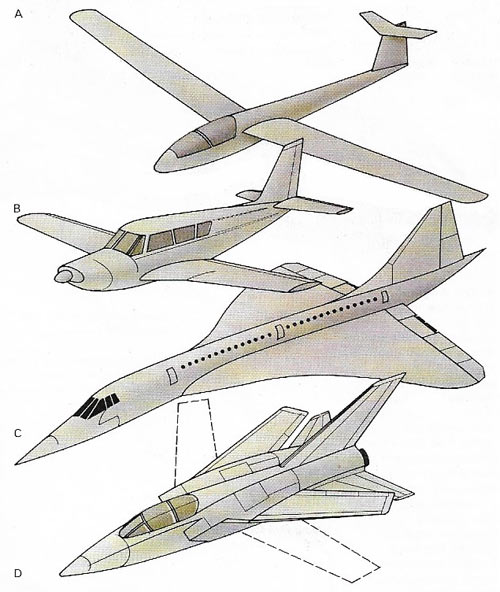 Wing shapes vary depending on their purpose.