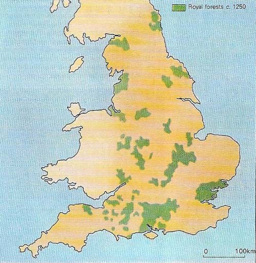 Royal forests took up a significant proportion of the land of England in the 13th century.