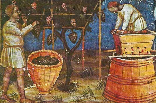 The grape harvest depicting in an Italian calendar shows the method of pressing the grapes with the feet, a tradition that survived in parts of rural Italy until after 1945.