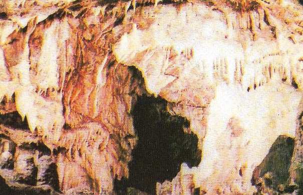 Kent Cavern