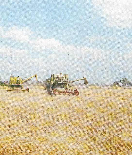 Industrialization of the farm.