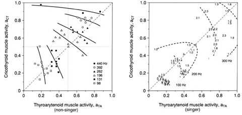 TA muscle activity