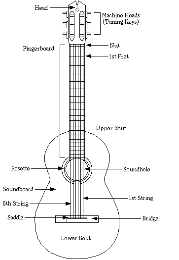 anatomy of an acoustic guitar