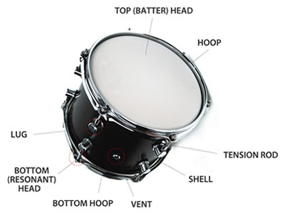 snare batter head