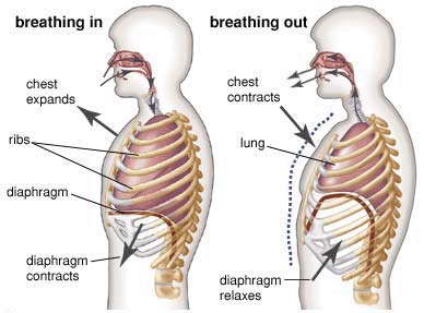 breathing in and out