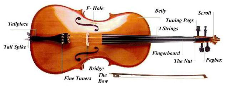 cello