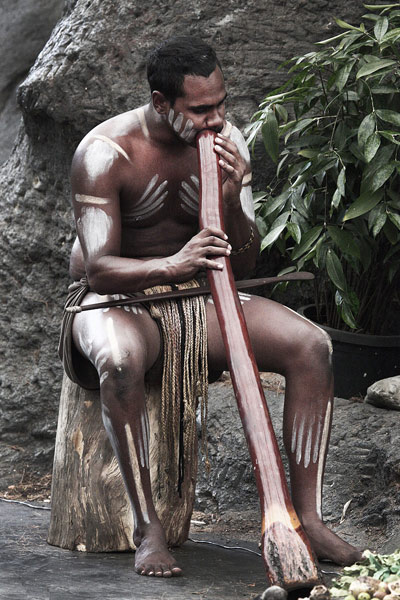 didgeridoo