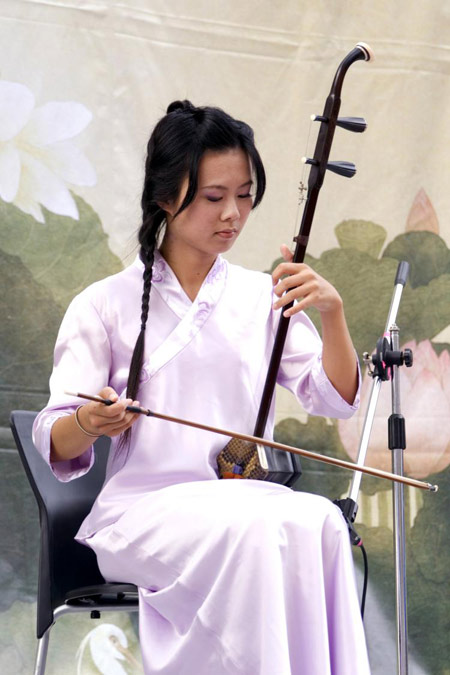 fiddle type instruments