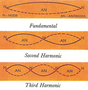 fundamental and harmonics