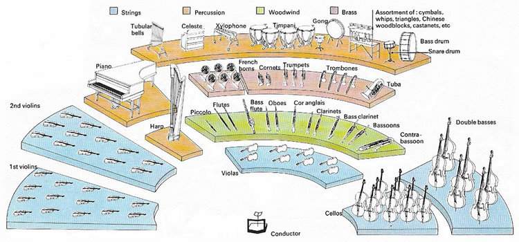 Layout of a modern orchestra