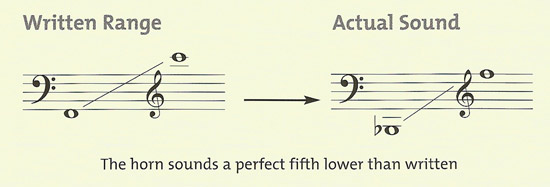 range of horn in F/B