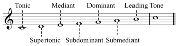 scale degree names