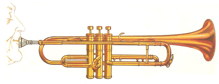 trumpet