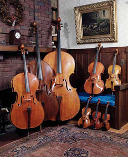 violin family