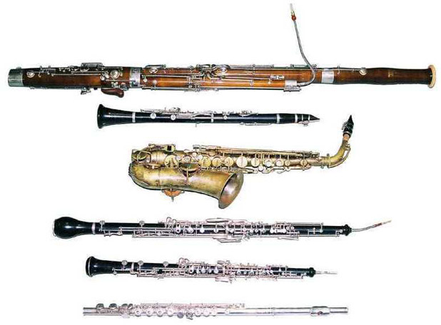 woodwind instruments