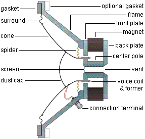 A cutaway view of a typical woofer